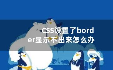 CSS设置了border显示不出来怎么办