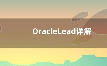 OracleLead详解