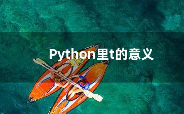 Python里t的意义