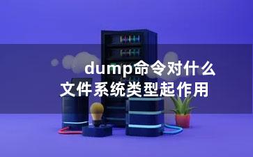 dump命令对什么文件系统类型起作用