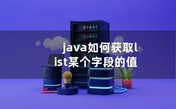 java如何获取list某个字段的值