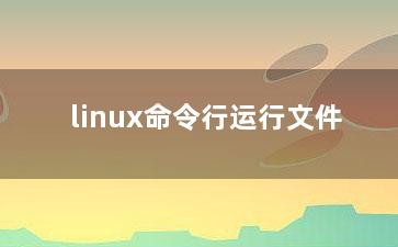 linux命令行运行文件？