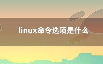 linux命令选项是什么？