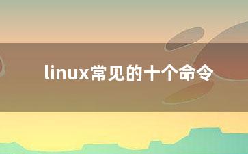 linux常见的十个命令？