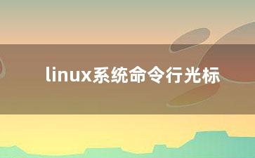 linux系统命令行光标？