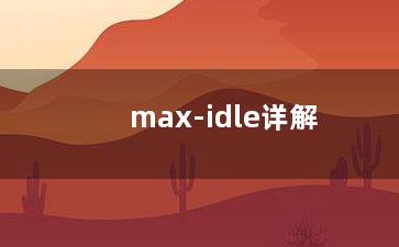 max-idle详解