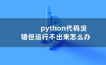 python代码没错但运行不出来怎么办