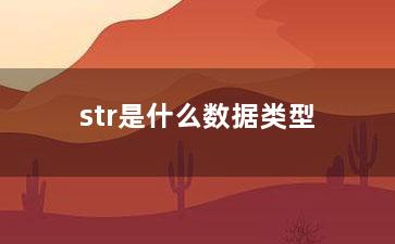 str是什么数据类型