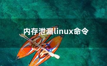 内存泄漏linux命令？