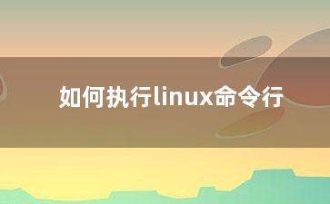 如何执行linux命令行？