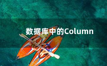 数据库中的Column