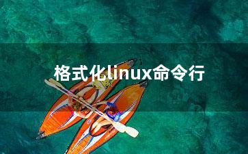 格式化linux命令行？