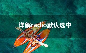 详解radio默认选中