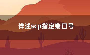 详述scp指定端口号