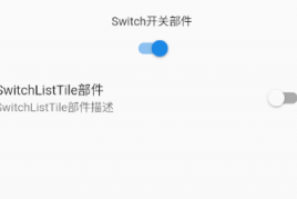 Flutter中Switch开关部件